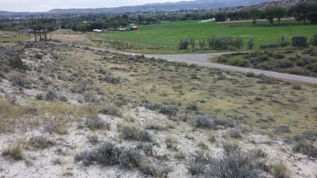View looking over the northwestern portion of the property.  The fence seen crossing the photo from left to right is the approximate western boundary.