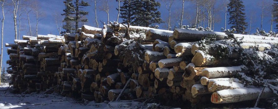 January 12-14, 2021 Tushar Ridge West Fuels Reduction Log Deck Sale (TA 886)