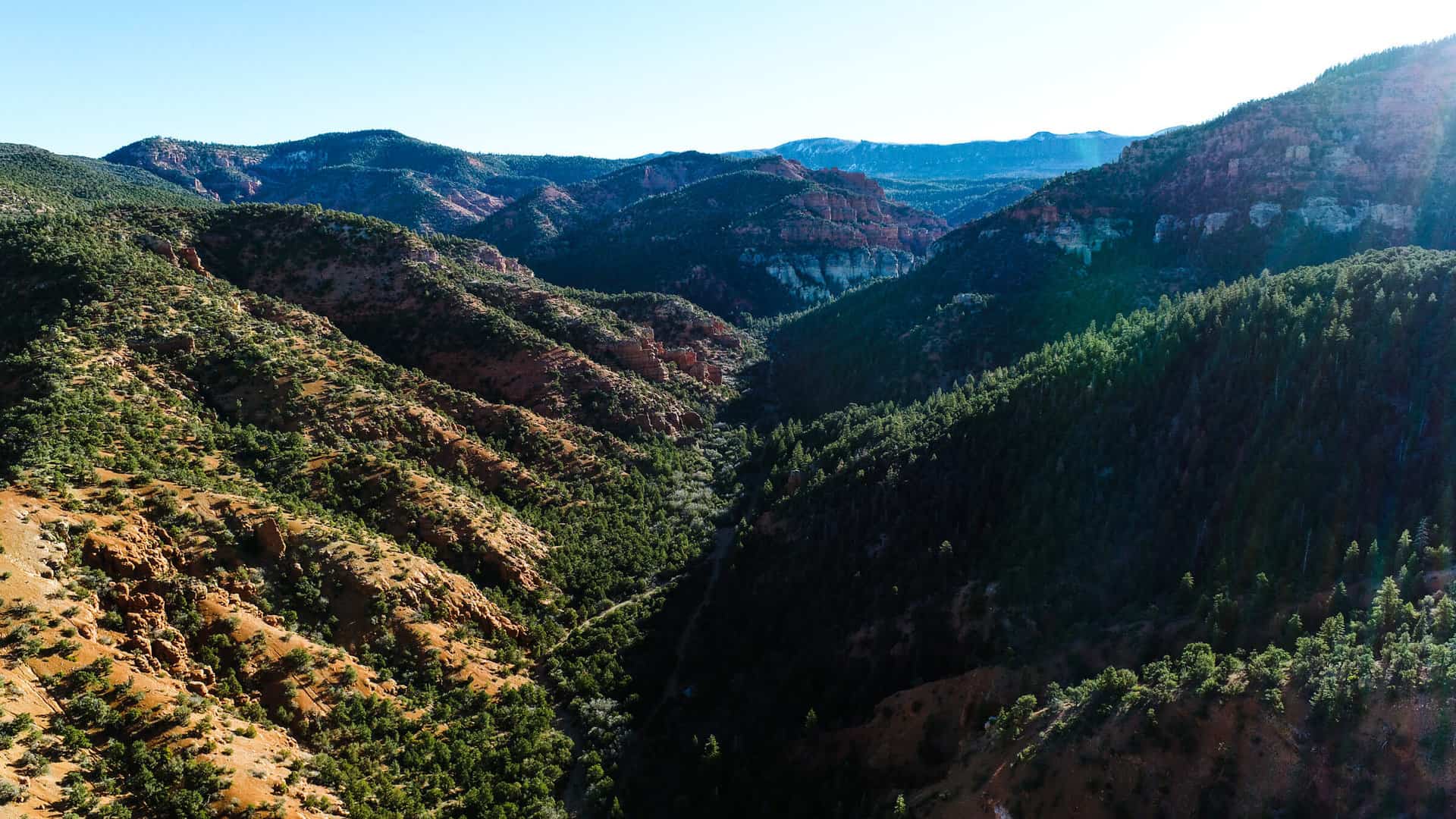 Forest Stewardship Trust Lands Administration